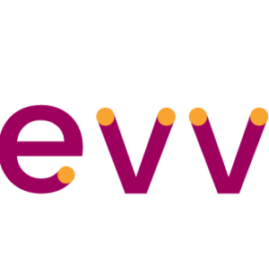 Devviz.com